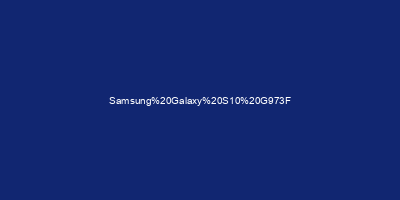 Samsung Galaxy S10 G973F